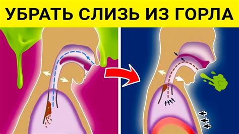 Как помочь ребенку избавиться от мокроты: советы родителям