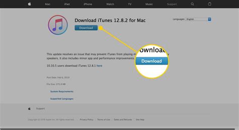 Как установить iTunes на Mac