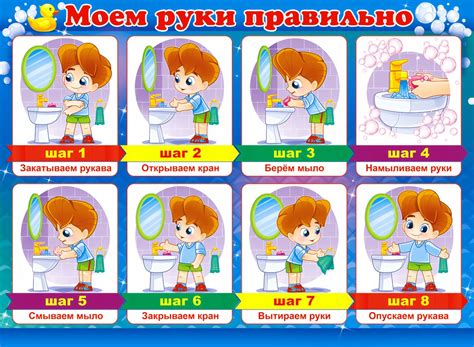 Как часто следует мыть лапки