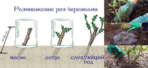 Как эффективно срезать грунт