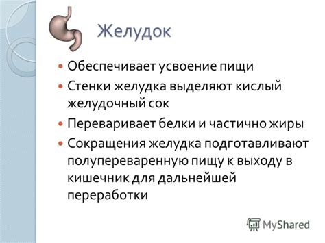 Кислый желудочный сок