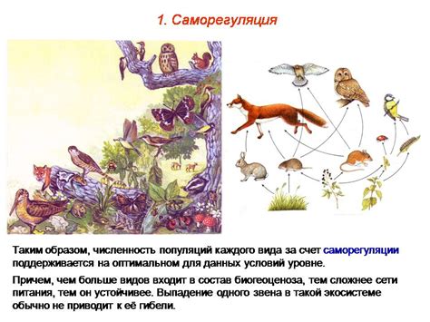Ключевые принципы создания устойчивых экосистем