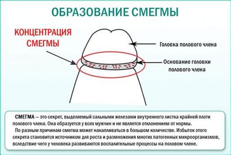 Когда и почему важно делать прикопку