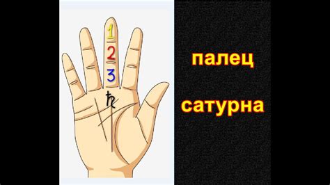 Контраверсии вокруг среднего пальца