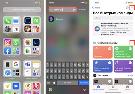 Конфигурация приложения на iOS