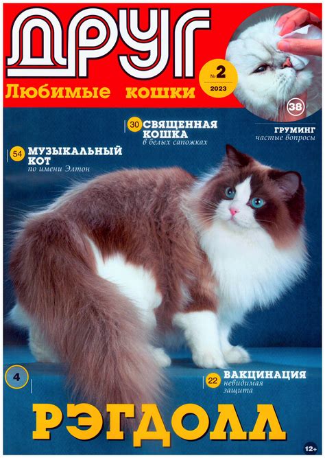 Кошка в сновидении: психологический аспект