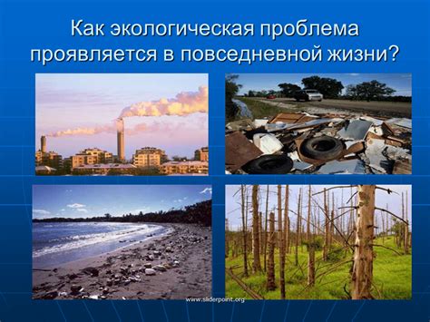 Краткая информация о проблеме