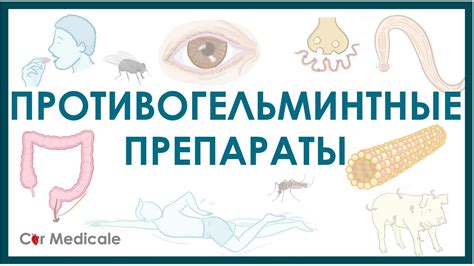 Лечение у человека