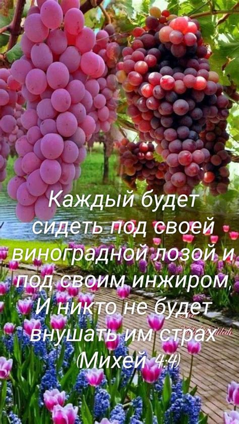 Логините под своим