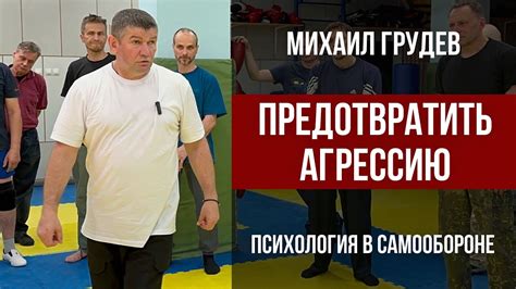 Лучшие способы предотвратить агрессию в пернатых: советы от профессионалов