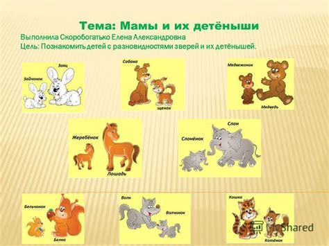 Мамы и их таинственное поведение