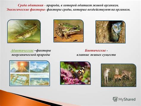 Места обитания исчезающих существ