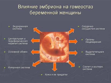 Метаболические изменения в организме