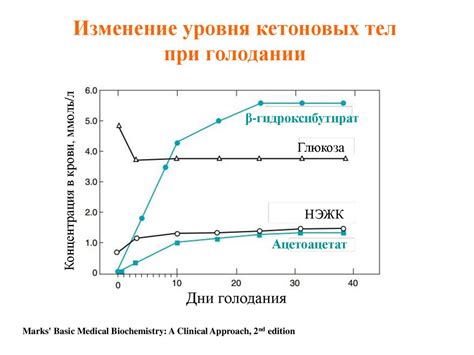 Методы контроля уровня кетоновых тел