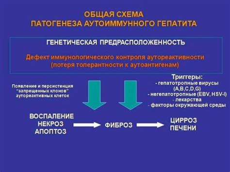 Методы лечения и рекомендации