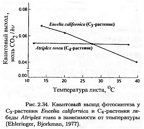 Методы определения площади