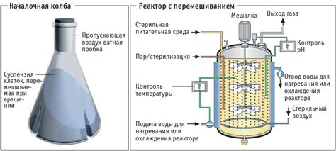 Методы производства и процесс ферментации