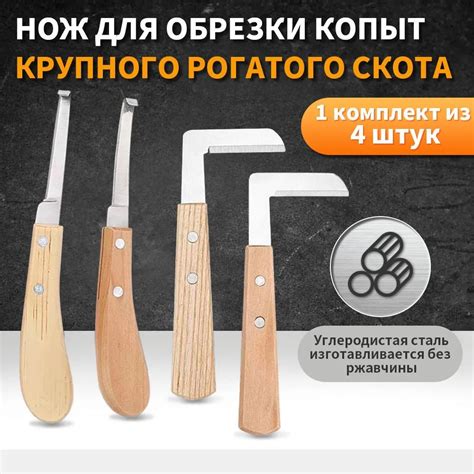 Методы чистки копыт лошадей