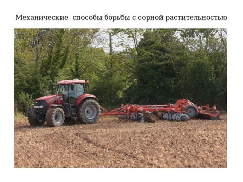 Механические способы борьбы с кустарниками