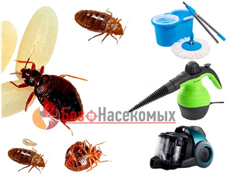 Механическое уничтожение насекомых