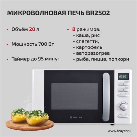 Микроволновая печь и мини печь: общие характеристики
