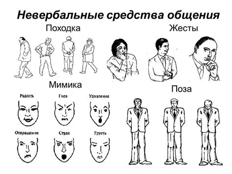 Мимика и жесты как индикаторы