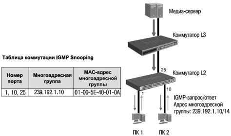 Многоадресная рассылка