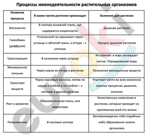 Нарушение питательного процесса