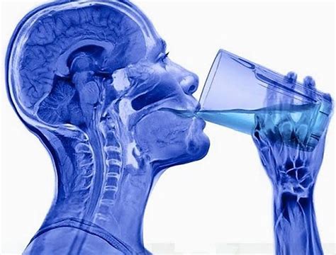 Недостаток увлажнения и воды в организме