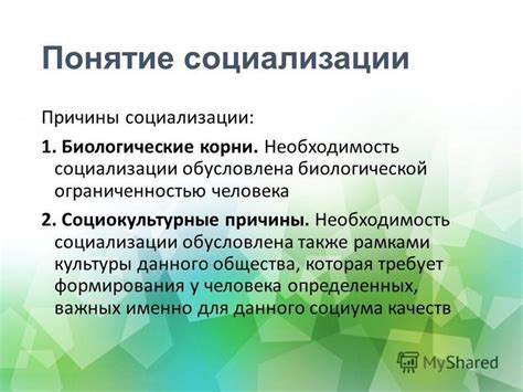 Необходимость социализации животного
