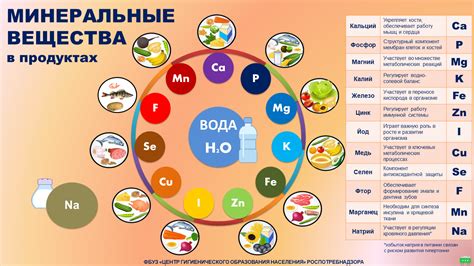 Необходимые минералы для питания растения