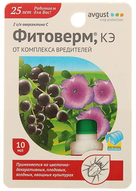 Обзор методов изготовления мошек в домашних условиях