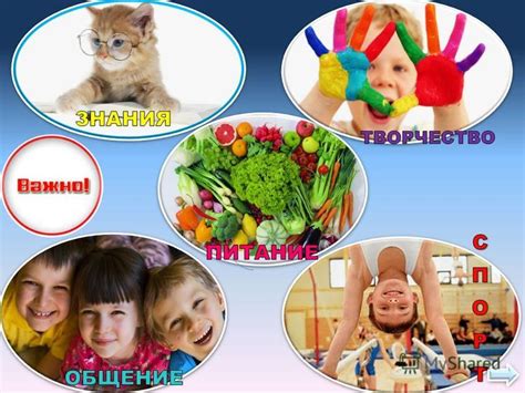 Обогащает витаминами