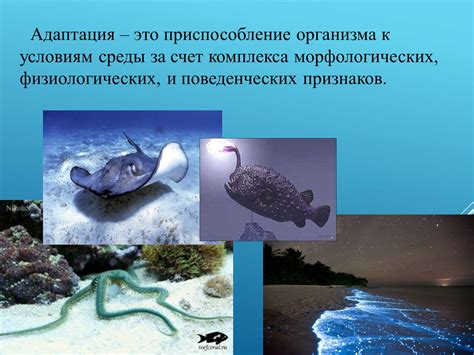Опасности в водной среде