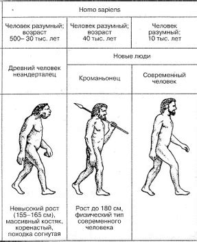 Определение, характеристика и происхождение