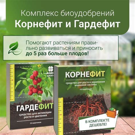 Органическое удобрение для почвы