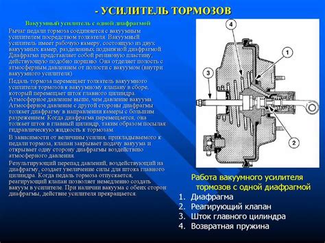 Осмотр вакуумного усилителя