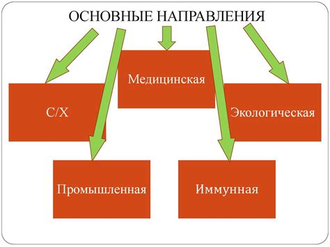 Основные направления и методы