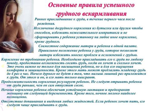 Основные правила кормления
