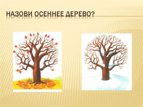 Особенности кормления в разное время года