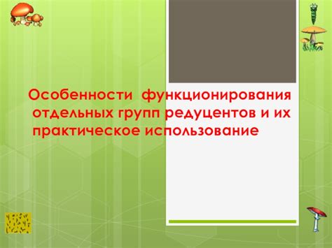 Особенности функционирования
