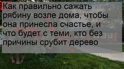 Ответственность за рябину возле дома