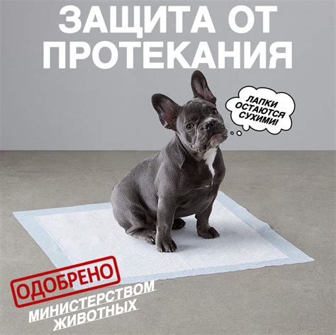 Пеленка для щенка