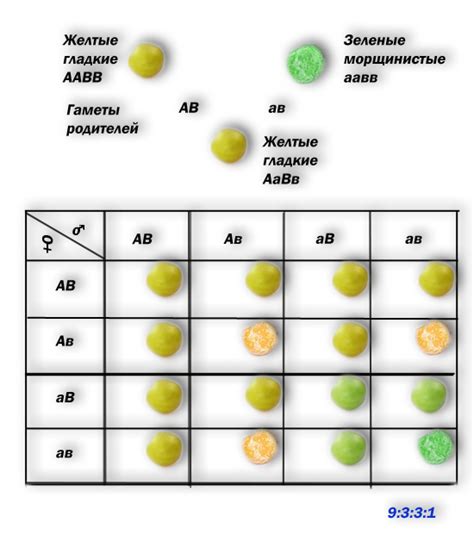 Пигменты, отвечающие за цвет плода