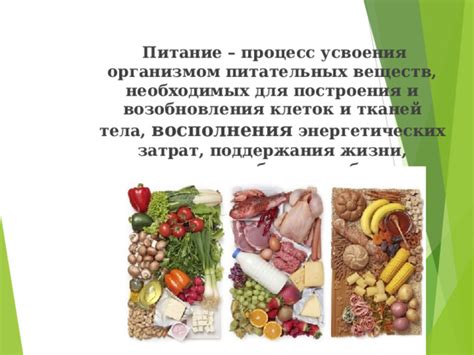 Питание для клеток