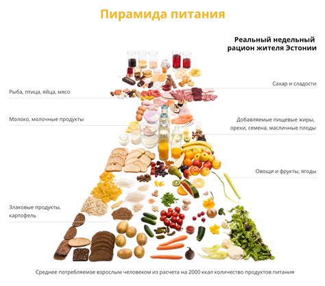 Питание и блюда