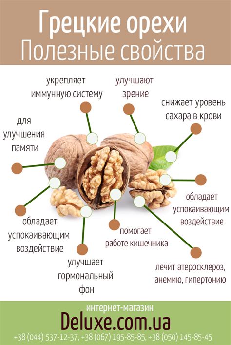 Питательные свойства грецкого ореха