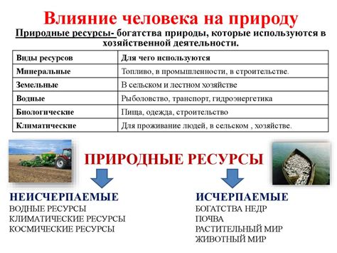 Плод человеческой деятельности