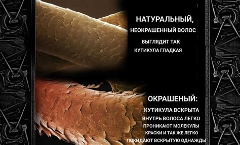 Плюсы смывки гидрогеля: