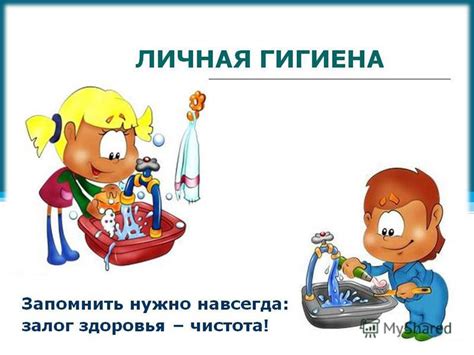Повышение гигиены и чистоты